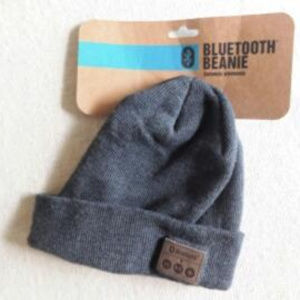 Beanie FCC ID Bluetooth
